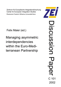 Discussion Paper Managing asymmetric interdependencies within the Euro-Medi-