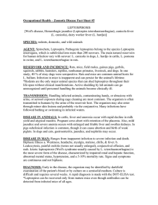 Occupational Health – Zoonotic Disease Fact Sheet #5 LEPTOSPIROSIS