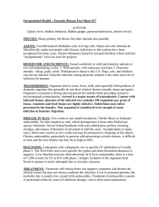Occupational Health - Zoonotic Disease Fact Sheet #17 SPECIES: AGENT: Q-FEVER