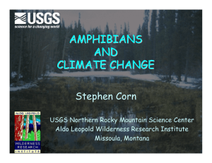 AMPHIBIANS AND CLIMATE CHANGE Stephen Corn