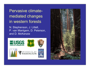 Pervasive climate- mediated changes in western forests N. Stephenson, J. Littell,