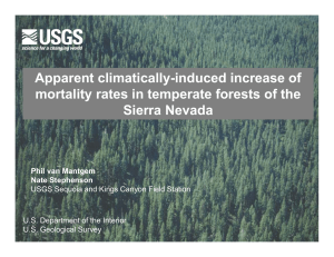 Apparent climatically-induced increase of mortality rates in temperate forests of the