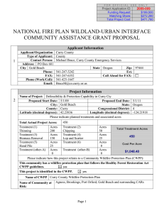NATIONAL FIRE PLAN WILDLAND-URBAN INTERFACE COMMUNITY ASSISTANCE GRANT PROPOSAL  Applicant Information