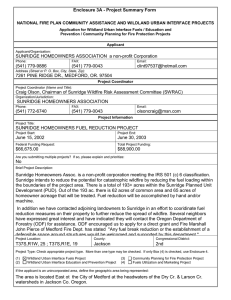 Enclosure 3A - Project Summary Form