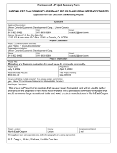Enclosure 4A - Project Summary Form  541-963-0926
