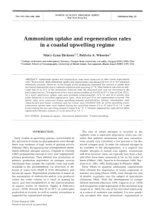 - l = ' Ammonium uptake and regeneration rates