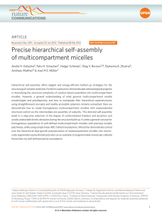 Precise hierarchical self-assembly of multicompartment micelles ARTICLE
