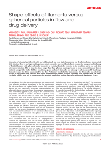 Shape effects of filaments versus spherical particles in flow and drug delivery