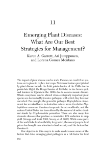11 Emerging Plant Diseases: What Are Our Best Strategies for Management?
