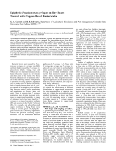Pseudomonas syringae Treated with Copper-Based Bactericides K. A. Garrett University, Fort Collins, 80523-1177