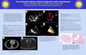 Cavo-tricuspid isthmus ablation triggered cardiac hemangioma