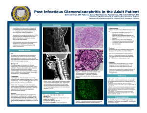 Post Infectious Glomerulonephritis in the Adult Patient
