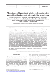 Abundance of humpback whales in Oceania using photo-identification and microsatellite genotyping
