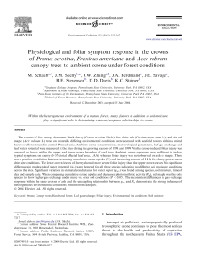 Physiological and foliar symptom response in the crowns