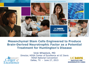 Mesenchymal Stem Cells Engineered to Produce Treatment for Huntington’s Disease