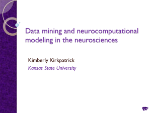 Data mining and neurocomputational modeling in the neurosciences  Kimberly Kirkpatrick