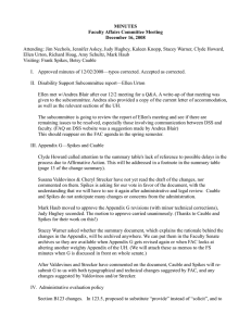 MINUTES Faculty Affairs Committee Meeting December 16, 2008