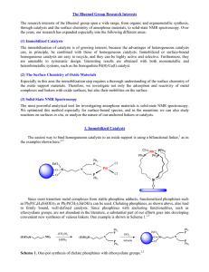 The Bluemel Group Research Interests