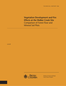 Vegetation Development and Fire Effects at the Walker Creek Site