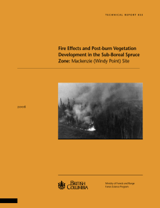 Fire Effects and Post-burn Vegetation Development in the Sub-Boreal Spruce Zone: 6