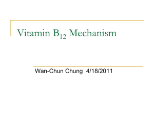 Vitamin B Mechanism 12 Wan-Chun Chung  4/18/2011