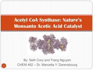 Acetyl CoA Synthase: Nature’s Monsanto Acetic Acid Catalyst