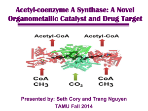 Acetyl-coenzyme A Synthase: A Novel Organometallic Catalyst and Drug Target