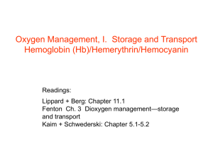 Oxygen Management, I.  Storage and Transport Hemoglobin (Hb)/Hemerythrin/Hemocyanin