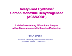 Acetyl-CoA Synthase/ Carbon Monoxide Dehydrogenase (ACS/CODH) A Ni-Fe-S-containing Bifunctional Enzyme