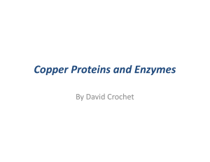 Copper Proteins and Enzymes By David Crochet