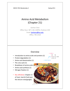 Amino&amp;Acid&amp;Metabolism&amp; (Chapter&amp;21)&amp;