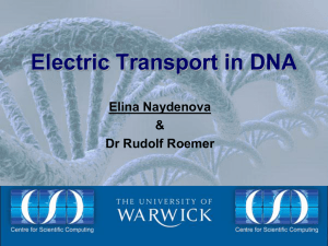 Electric Transport in DNA Elina Naydenova &amp; Dr Rudolf Roemer