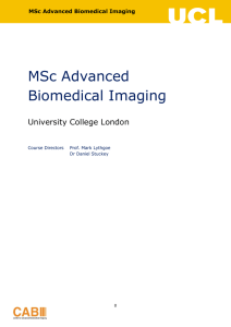 MSc Advanced Biomedical Imaging University College London