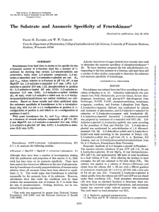 The  Substrate and  Anomeric Specificity of  Fructokinase*