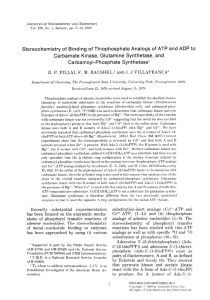 Stereochemistry of  Binding of  Thiophosphate