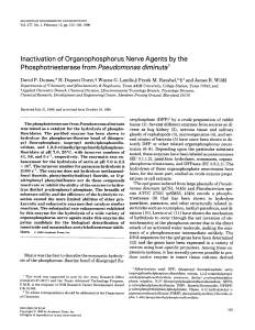 Inactivation of  Organophosphorus Nerve  Agents  by  the Phosphotriesterase