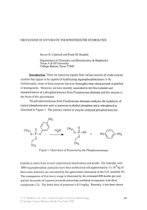 MECHANISM OF ENYZMA TIC PHOSPHOTRIESTER HYDROLYSIS