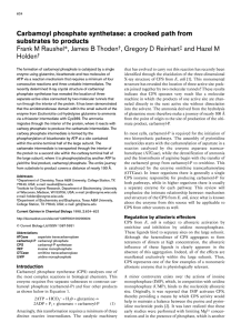 Carbamoyl  phosphate  synthetase:  a  crooked ... substrates  to  products