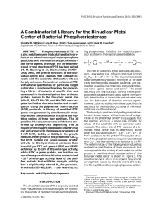 A Combinatorial Library for the Binuclear Metal Center of Bacterial Phosphotriesterase