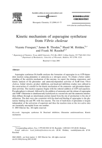Kinetic mechanism of asparagine synthetase from Vibrio cholerae Vicente Fresquet, James B. Thoden,