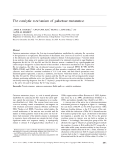 The catalytic mechanism of galactose mutarotase JAMES B. THODEN, JUNGWOOK KIM,