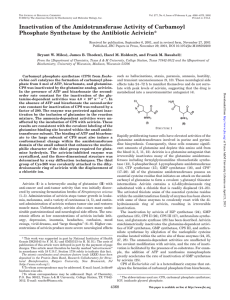 Inactivation of the Amidotransferase Activity of Carbamoyl