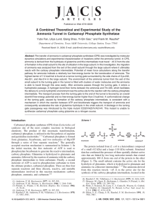 A Combined Theoretical and Experimental Study of the