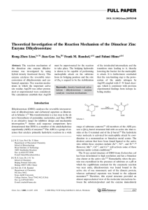 Theoretical Investigation of the Reaction Mechanism of the Dinuclear Zinc