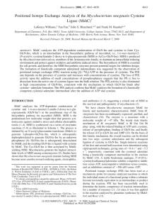 Mycobacterium smegmatis Ligase (MshC) LaKenya Williams, Fan Fan,