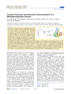 Function Discovery and Structural Characterization of a Methylphosphonate Esterase
