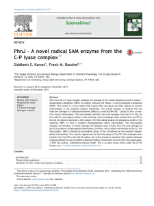 – A novel radical SAM enzyme from the PhnJ –P lyase complex C