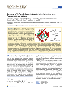 ‑Formimino‑ ‑glutamate Iminohydrolase from Structure of N Pseudomonas aeruginosa