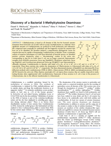 ‑Methylcytosine Deaminase Discovery of a Bacterial 5 Daniel S. Hitchcock, Alexander A. Fedorov,