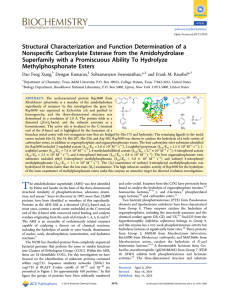 Structural Characterization and Function Determination of a